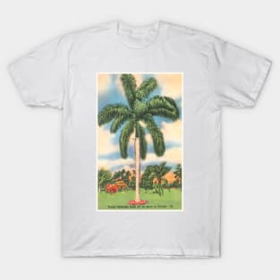 Florida Tropics postcard T-Shirt